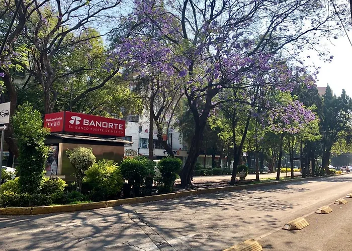 Acogedor Y Centrico Departamento En Polanco Mexico City